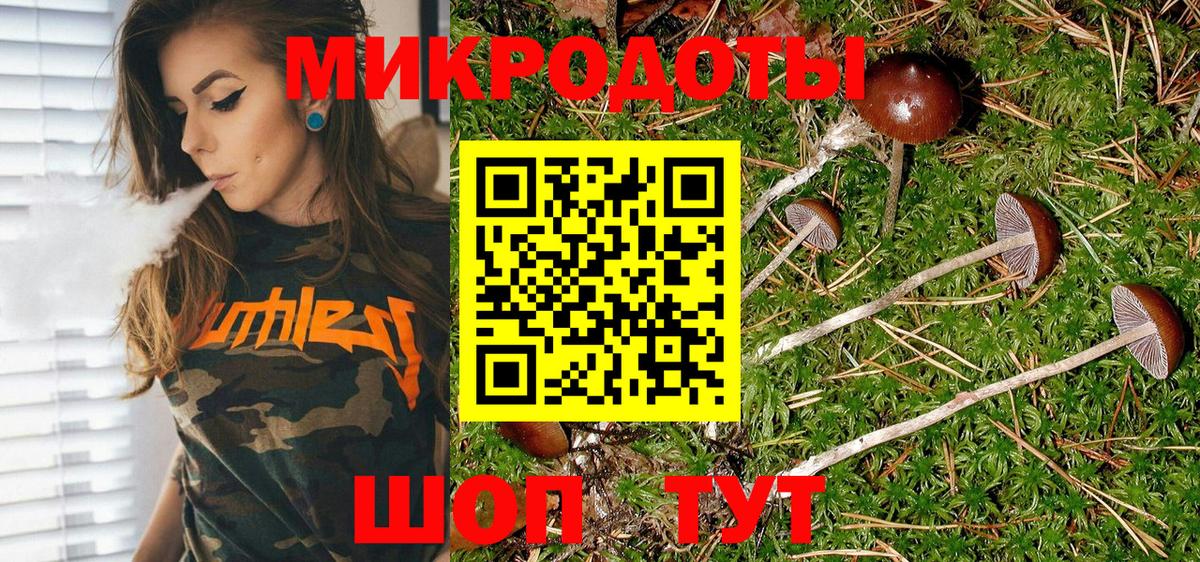 Галлюциногенные грибы прущие грибы Томск